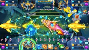 555ok